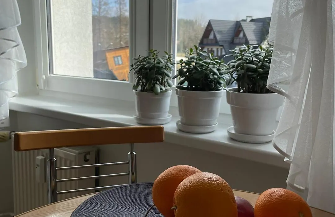 Apartament TrzyMaj-1